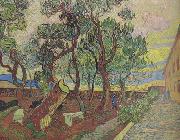 The Garden of Saint-Paul Hospital (nn04) Vincent Van Gogh